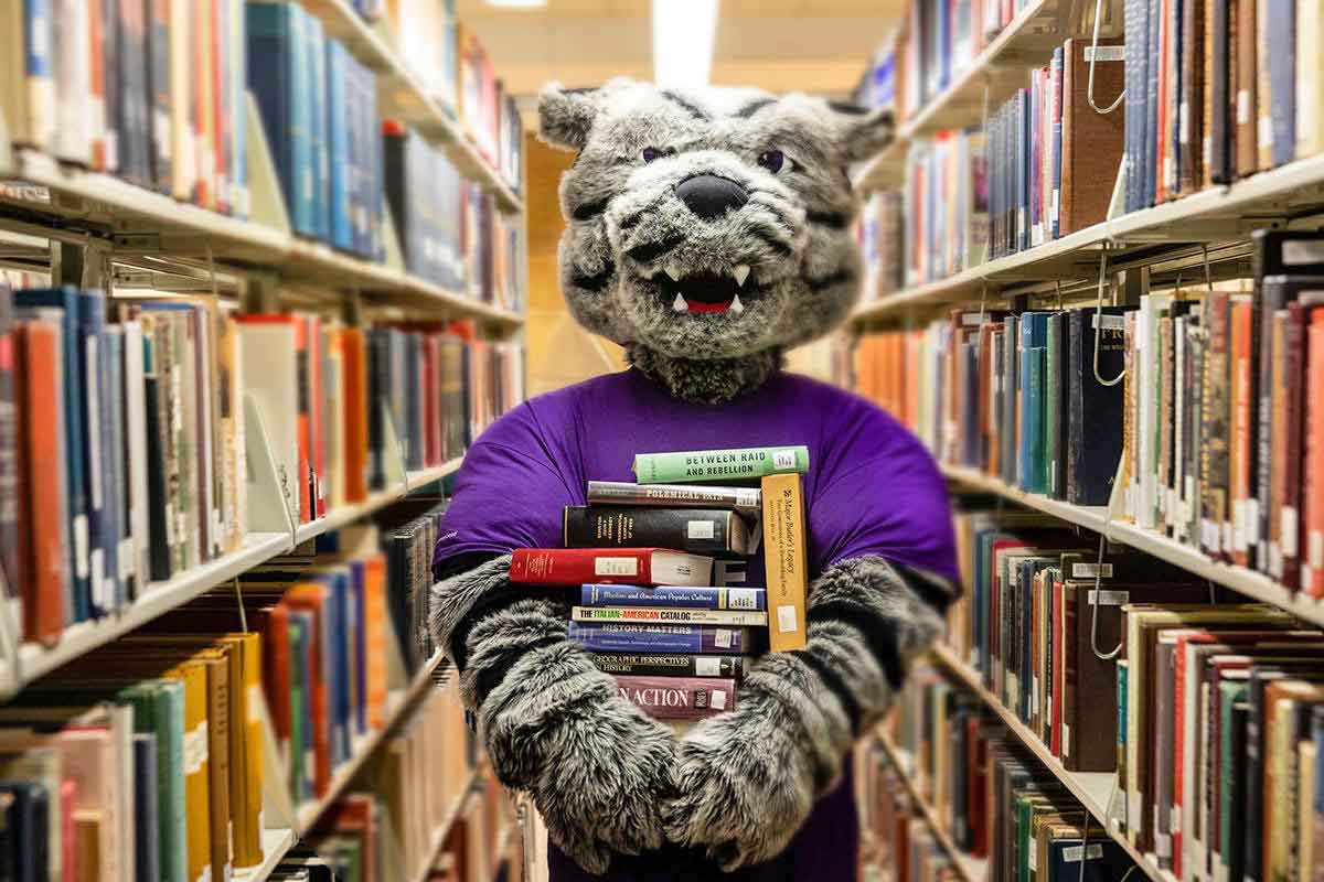 The St. Thomas mascot Tommie holds a stack of books in a library.