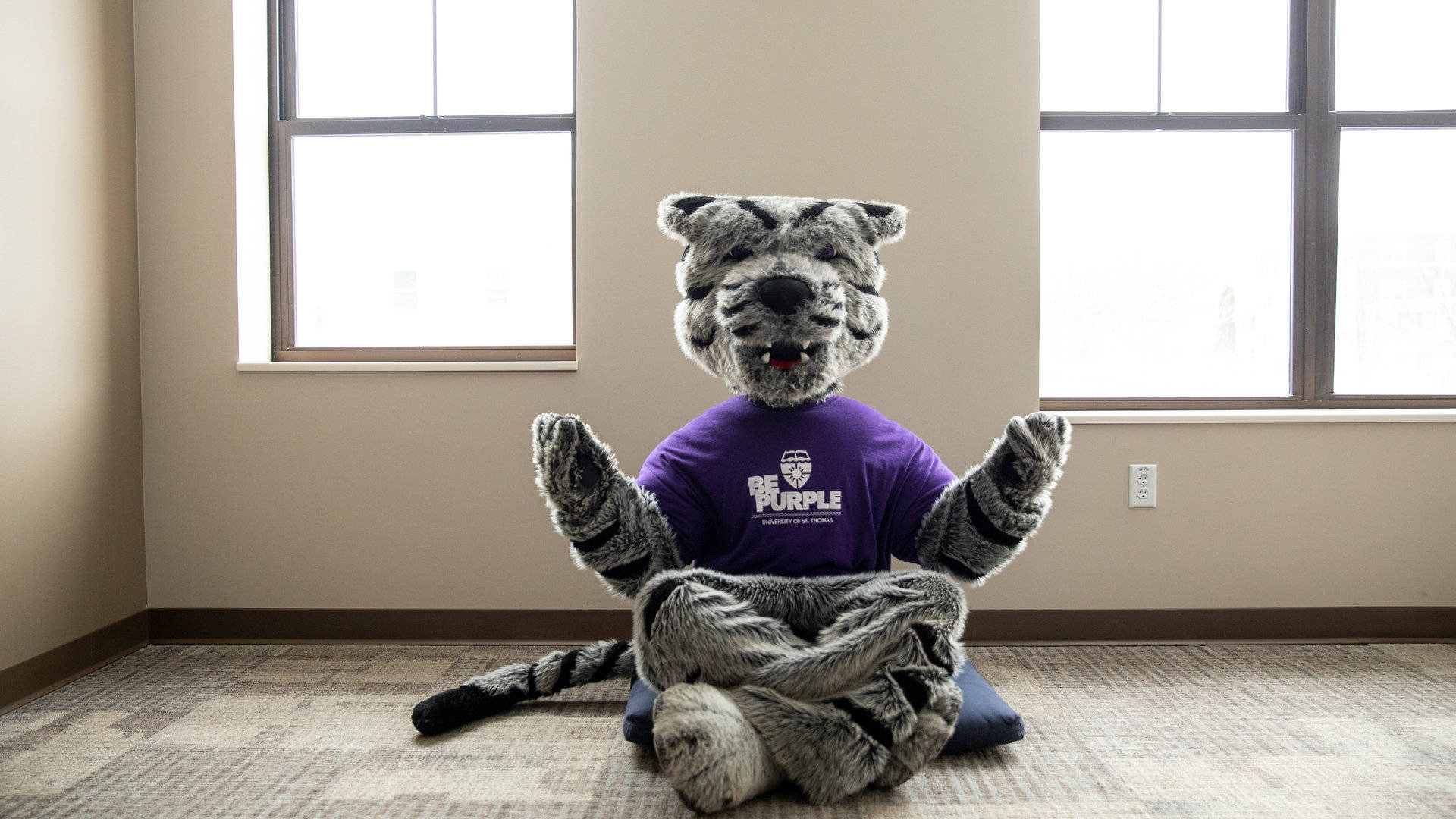 Tommie does yoga.