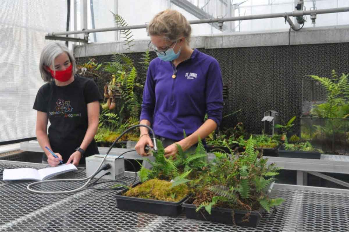 Biology professor Amy Verhoeven works with student Catherine Putzier on research in the greenhouse.