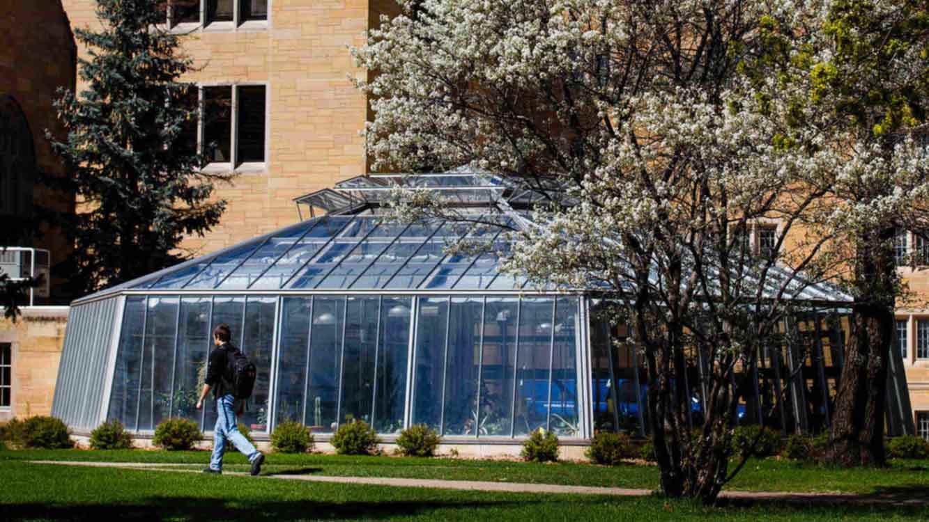 Student walking past St. Thomas greenhouse on campus.