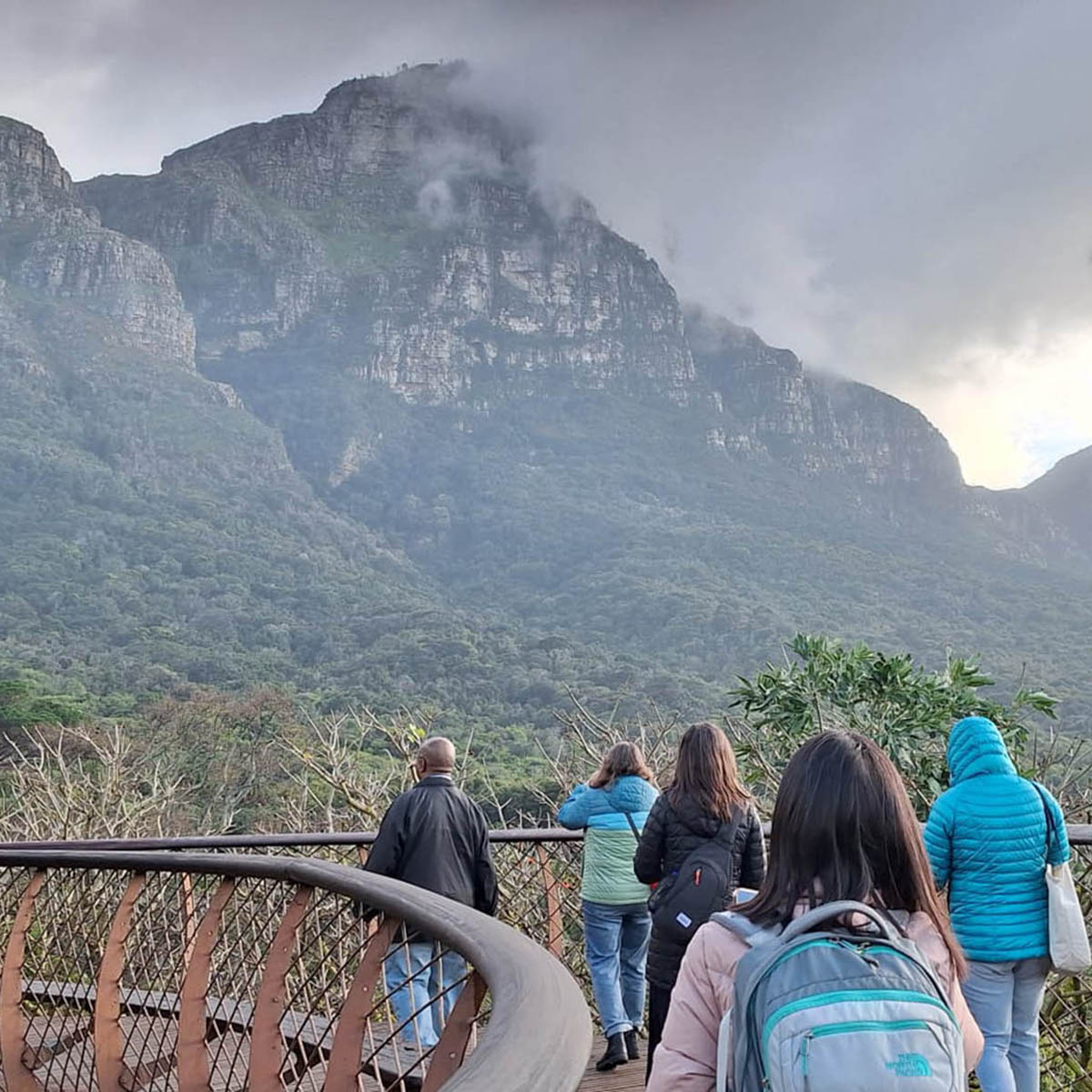 Faculty on the Reckoning and Repair trip to South Africa walk across a bridge in the canopy