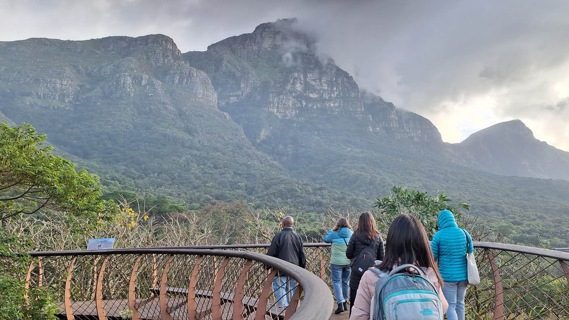 Faculty on the Reckoning and Repair trip to South Africa walk across a bridge in the canopy