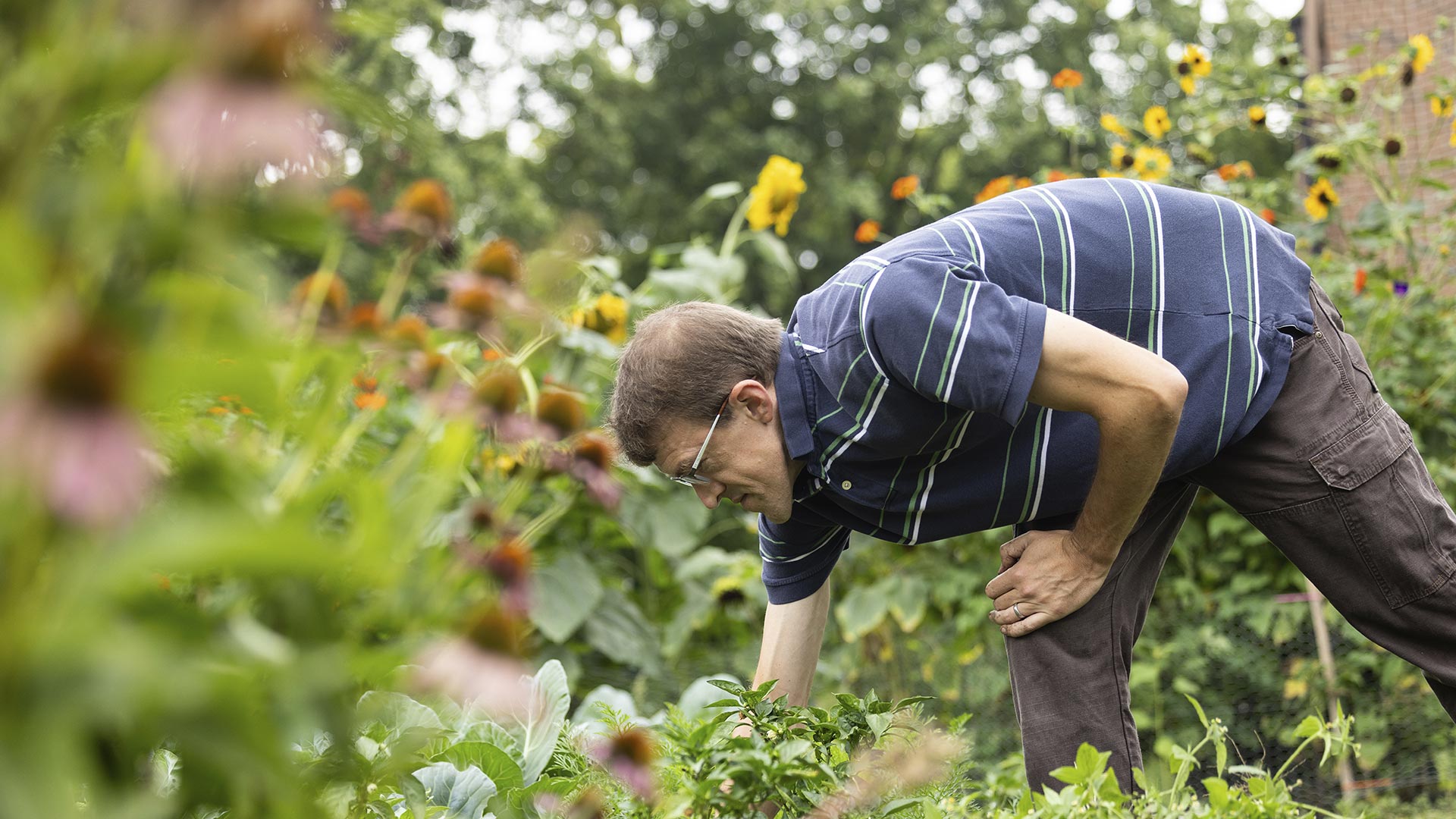 Dr. Chip Small conducts research in a garden