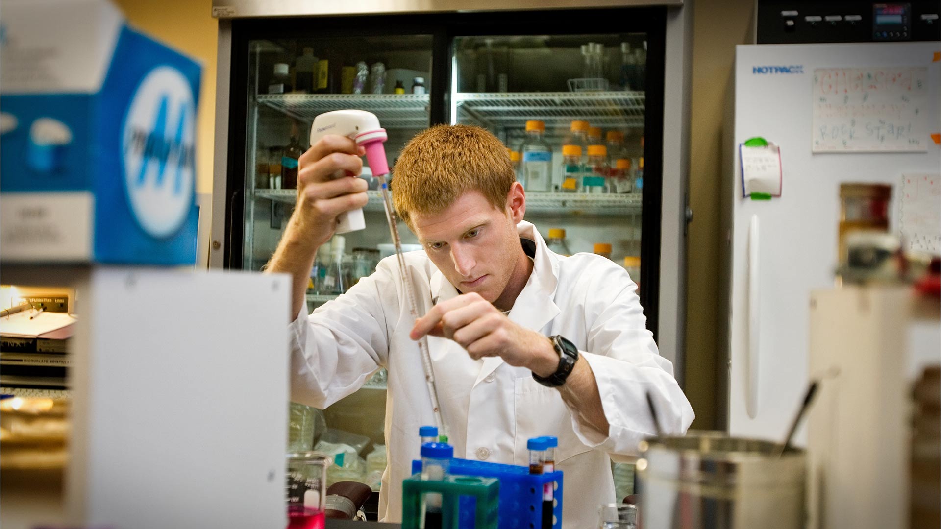 Researcher looking a glass pipette in a lab.