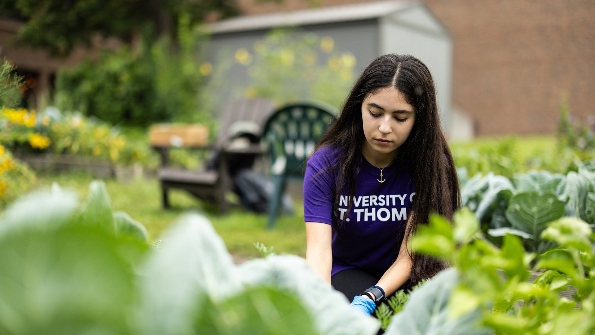A student conducts research in one of the gardens on the St. Paul campus