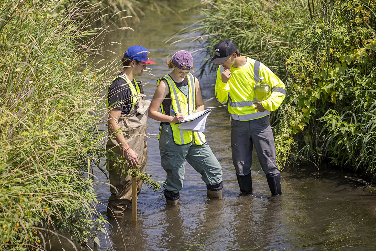 Chemistry students conducting research in a stream